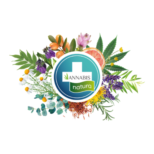 hempcosmeticsbg.com